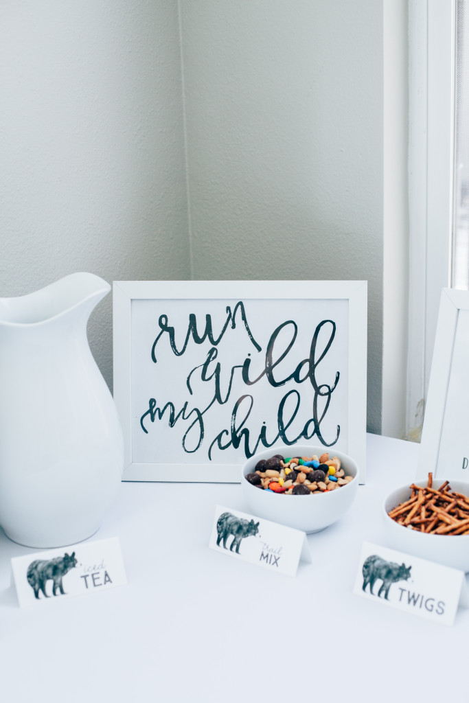 wild adventure first birthday 00 (12 of 32)