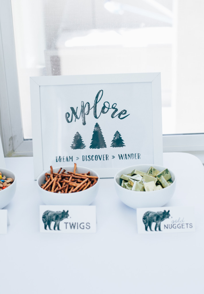 wild adventure first birthday 00 (13 of 32)