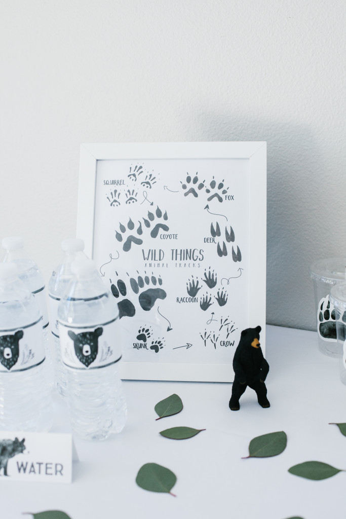 wild adventure first birthday 00 (19 of 32)