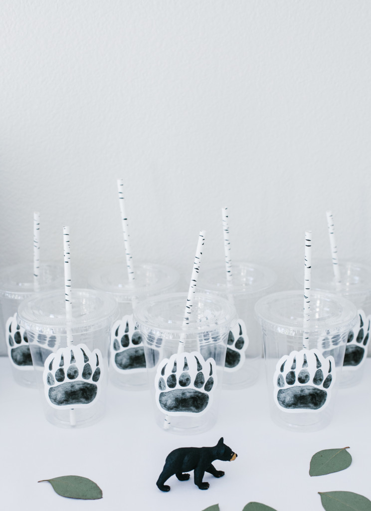 wild adventure first birthday 00 (22 of 32)