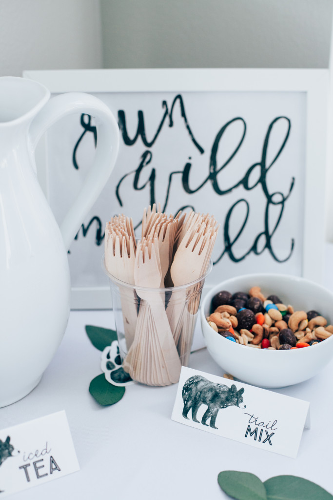 wild adventure first birthday 00 (24 of 32)