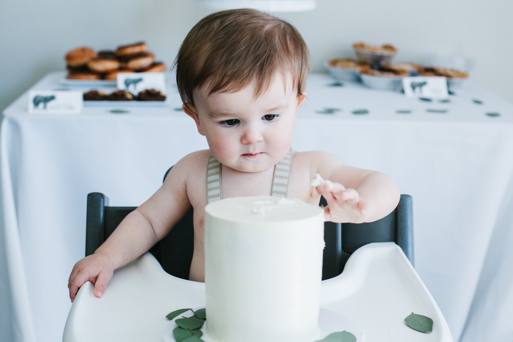 wild adventure first birthday 00 (30 of 32)