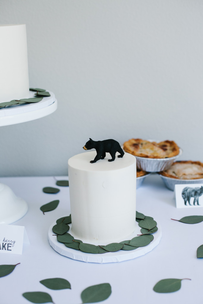 wild adventure first birthday 00 (9 of 32)